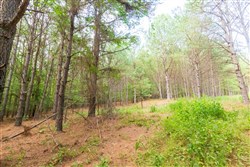 Whiskey Ridge Tract 73