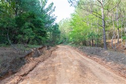 property photo for Whiskey Ridge Tract 74, 12.77 acres for sale in Henderson County, Tennessee