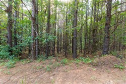 property photo for Whiskey Ridge Tract 74, 12.77 acres for sale in Henderson County, Tennessee