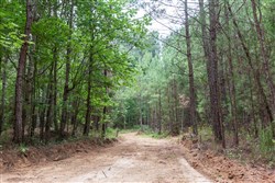 property photo for Whiskey Ridge Tract 75, 10.42 acres for sale in Henderson County, Tennessee