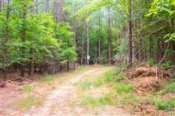 property photo for Whiskey Ridge Tract 76, 8.86 acres for sale in Henderson County, Tennessee