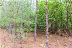 property photo for Whiskey Ridge Tract 76, 8.86 acres for sale in Henderson County, Tennessee
