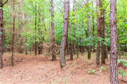 property photo for Whiskey Ridge Tract 76, 8.86 acres for sale in Henderson County, Tennessee