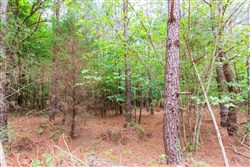 property photo for Whiskey Ridge Tract 76, 8.86 acres for sale in Henderson County, Tennessee