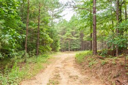 property photo for Whiskey Ridge Tract 77, 8.12 acres for sale in Henderson County, Tennessee