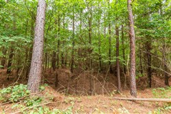 property photo for Whiskey Ridge Tract 77, 8.12 acres for sale in Henderson County, Tennessee