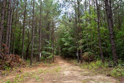 Whiskey Ridge Tract 78