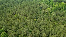 Whiskey Ridge Tract 78