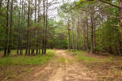 Whiskey Ridge Tract 78