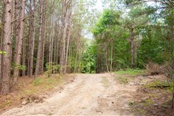 property photo for Whiskey Ridge Tract 79, 8.39 acres for sale in Henderson County, Tennessee