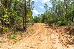 property photo for Whiskey Ridge Tract 8, 5.13 acres for sale in Henderson County, Tennessee