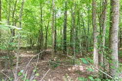 property photo for Whiskey Ridge Tract 8, 5.13 acres for sale in Henderson County, Tennessee