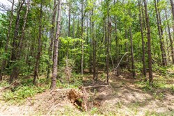property photo for Whiskey Ridge Tract 8, 5.13 acres for sale in Henderson County, Tennessee