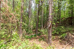 property photo for Whiskey Ridge Tract 8, 5.13 acres for sale in Henderson County, Tennessee