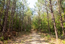 Whiskey Ridge Tract 80