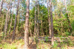 property photo for Whiskey Ridge Tract 82, 14.93 acres for sale in Henderson County, Tennessee