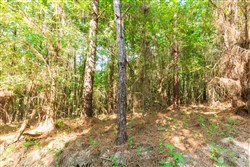 property photo for Whiskey Ridge Tract 82, 14.93 acres for sale in Henderson County, Tennessee