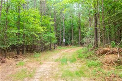 Whiskey Ridge Tract 83