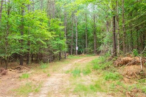 Whiskey Ridge Tract 83