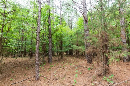 Whiskey Ridge Tract 83