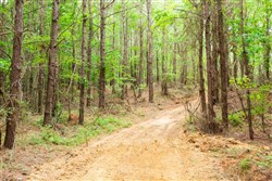 Whiskey Ridge Tract 83