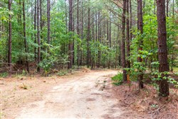 property photo for Whiskey Ridge Tract 84, 9.77 acres for sale in Henderson County, Tennessee