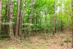 Whiskey Ridge Tract 85