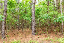 Whiskey Ridge Tract 85