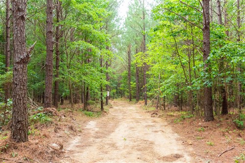 Whiskey Ridge Tract 86