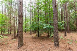 Whiskey Ridge Tract 86