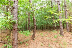 Whiskey Ridge Tract 86