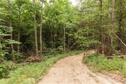 Whiskey Ridge Tract 87