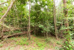 Whiskey Ridge Tract 87