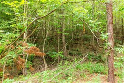 Whiskey Ridge Tract 87