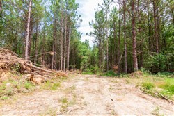 property photo for Whiskey Ridge Tract 89, 7.98 acres for sale in Henderson County, Tennessee