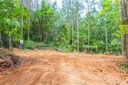 property photo for Whiskey Ridge Tract 9, 5.17 acres for sale in Henderson County, Tennessee