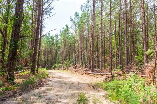 Whiskey Ridge Tract 90