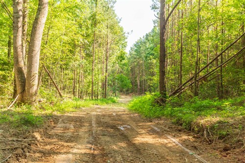 Whiskey Ridge Tract 91