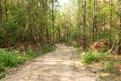 Whiskey Ridge Tract 91