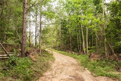 Whiskey Ridge Tract 93