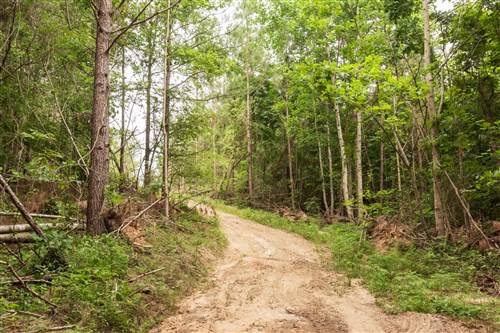 Whiskey Ridge Tract 93