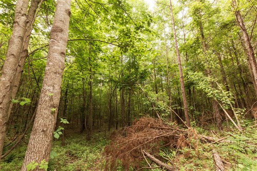 Whiskey Ridge Tract 93
