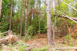 Whiskey Ridge Tract 93