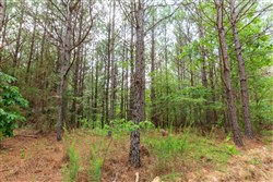 property photo for Whiskey Ridge Tract 94, 9.98 acres for sale in Henderson County, Tennessee