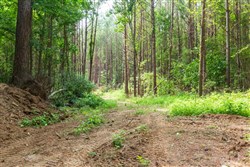 property photo for Whiskey Ridge Tract 95, 9.48 acres for sale in Henderson County, Tennessee
