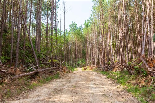 Whiskey Ridge Tract 96