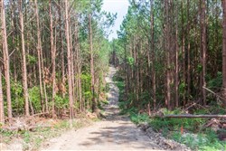 Whiskey Ridge Tract 96