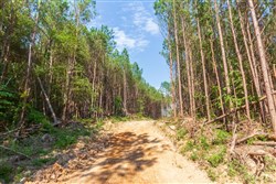 Whiskey Ridge Tract 96