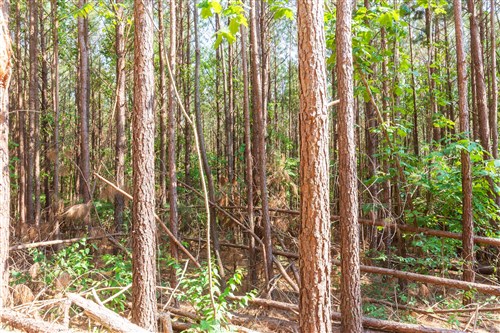 Whiskey Ridge Tract 97