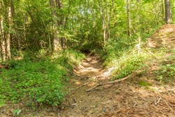 Whiskey Ridge Tract 97